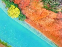-贡湖湾湿地公园