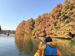 -上海海湾国家森林公园