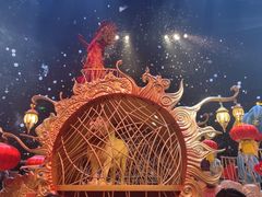 -广州长隆国际大马戏