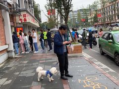 -邓氏兔头
