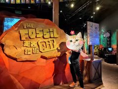 -珠海横琴国家地理探险家中心(创新方)