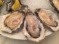 -Oyster Talks 四度蚝法餐厅