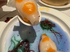 -新同乐鱼翅酒家(美丽华店)