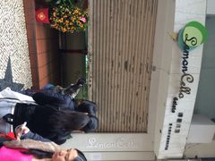 柠檬车露店铺-柠檬车露(卖草地店)