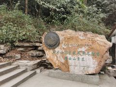 -缙云山景区