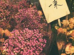 -循礼门鲜花花市(武汉循礼门店)