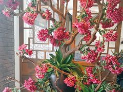 -徽珍源(龙茗路店)