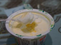 -德禄酸奶(莫家街店)