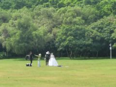 -莲花山公园