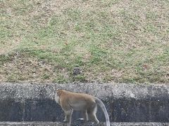 -麦里芝蓄水池