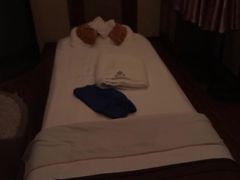 -端艾堂·SPA·艾灸(棕榈泉013店)