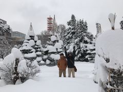 -北海道厅旧本厅舍(旧本庁舎)