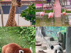 -灵玲国际马戏城