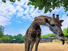 -大连森林动物园