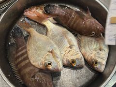 -大东海海鲜酒楼(渔人码头总店)