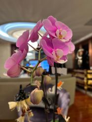 -馨月汇·独栋月子会所(静安店)