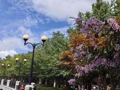 -大连植物园