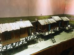 -北海金海湾红树林生态旅游区