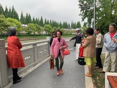 -嘉定紫藤园