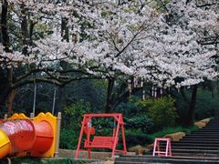 -杭州少年儿童公园