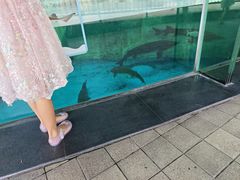 -海合安成都极地海洋公园