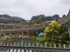 -福道