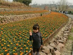 -白鹭湾湿地公园