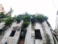 -五福堂龟苓膏(河东北山店)