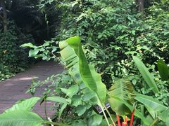 -广西壮族自治区药用植物园