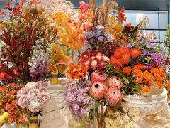 -BEAST野兽派(上海浦东嘉里城店)