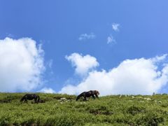 -灵山