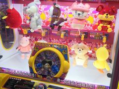 -城市动力(弘桥商城店)