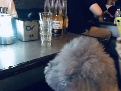 -潮K  party KTV(国色天香店)