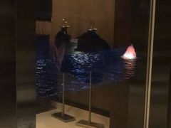 -武汉武昌威斯汀酒店-知味自助餐厅