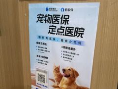 -米苏动物医院·犬猫专科·骨科外科内窥镜