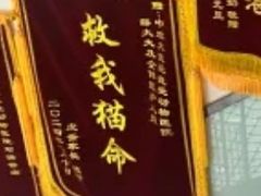 -中农大我爱我爱动物医院·核磁CT·猫病·24小时夜诊中心(石佛营店)