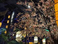 -绿茶餐厅(千岛湖银泰城店)