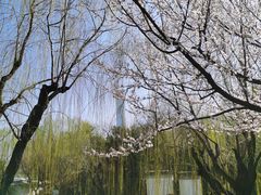 -团结湖公园