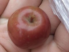 -曼哈顿商业广场(升龙广场店)