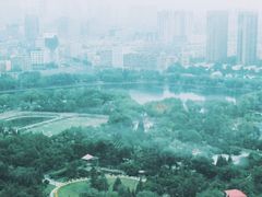 -君悦酒店·乐厨·高空自助餐(青年大街店)