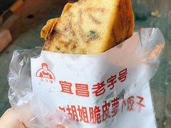 -半月镰胡姐脆皮萝卜饺子