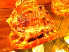 iphone_upload_pic-亚龙湾中心广场·贝壳馆