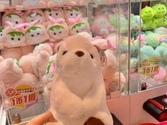 -汤姆熊欢乐世界(正大店)