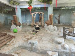 -海南热带野生动植物园