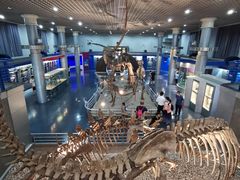 -国家自然博物馆