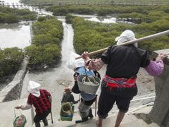 -北海金海湾红树林生态旅游区