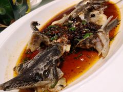 奇妙三豉蒸鲟龙鱼-万龙洲海鲜(大兴绿地缤纷城店)