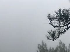 -鹿亭中村