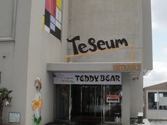 -济州岛泰迪熊博物馆