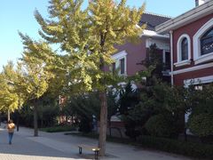 -天正河鲀·河豚亭(大连店)